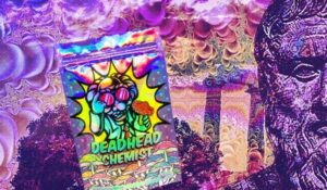 History of Psilocybin Mushrooms