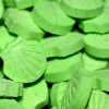 MDMA Pills Green Shell 200mg